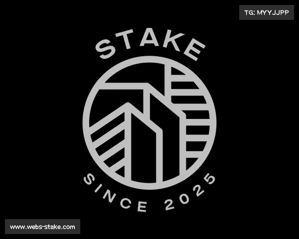 了解stake